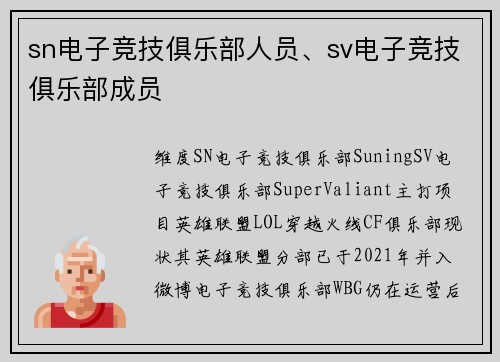 sn电子竞技俱乐部人员、sv电子竞技俱乐部成员